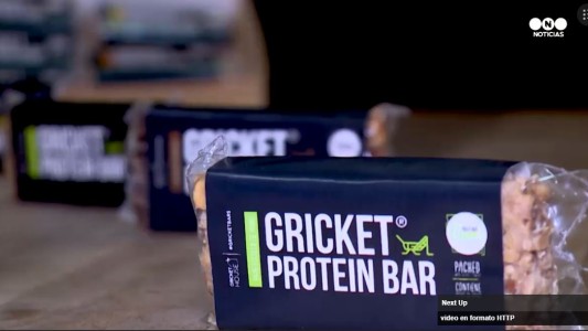 Barras energéticas a base de grillos