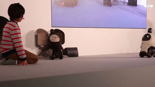 Presentan en Japón a "Lovot", un robot  capaz de amar a su dueño y combatir la soledad