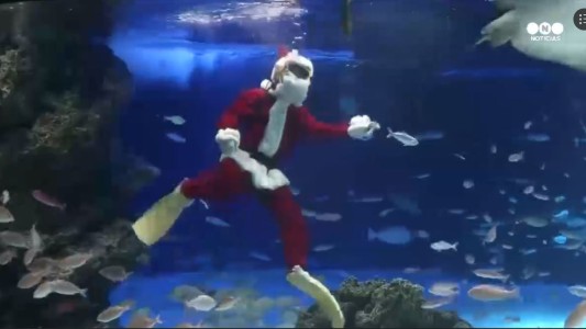 Papá Noel bucea en el acuario de Tokio
