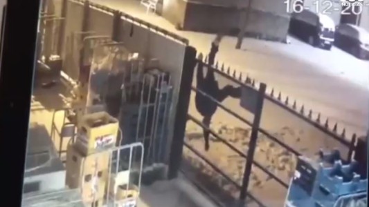 El ladrón más torpe del mundo