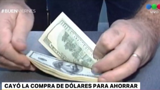 En noviembre cayó la compra de dólares para ahorrar