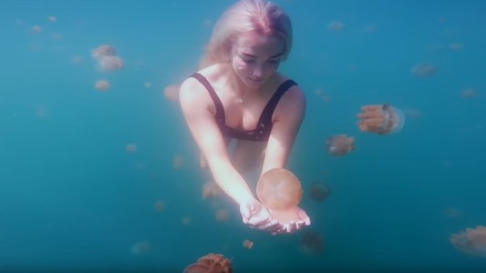 El video de un millón de dólares: GoPro realizó un concurso y el resultado fue impresionante