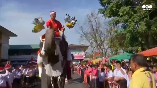 Elefantes vestidos de Papá Noel reparten regalos en Tailandia