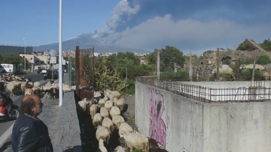 Ahora el Etna: otra erupción volcánica