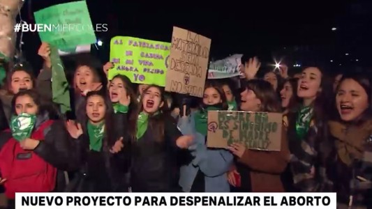 Presentarán un nuevo proyecto para despenalizar el aborto