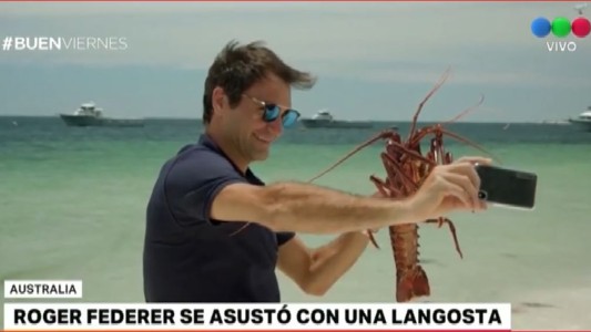 El susto de Roger Federer ante el "ataque" de una langosta