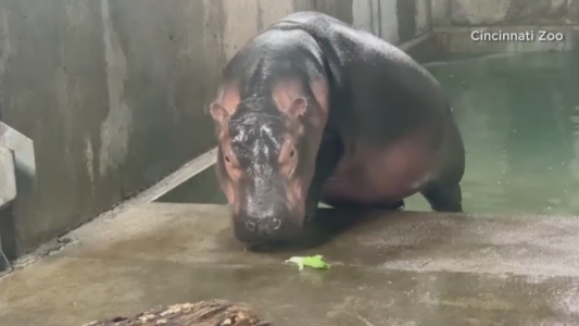 Sin miedo a la balanza