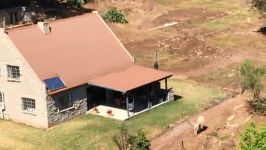 Alquiler de vacaciones: ofrecen una casa rodeada por decenas de leones