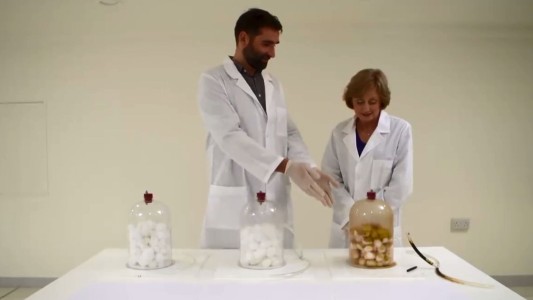 El experimento que muestra la diferencia al fumar un cigarrilo electrónico y uno normal