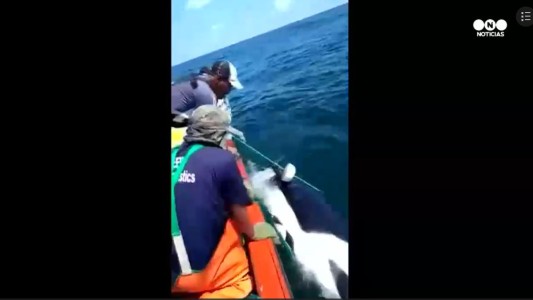 La alegría de los pescadores que liberaron a una orca