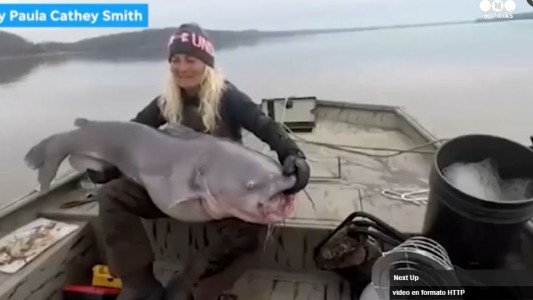 Pescaron una bagre gigante y el video se hizo viral
