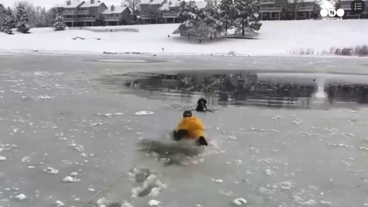 Riesgoso rescate de un perro en un lago congelado