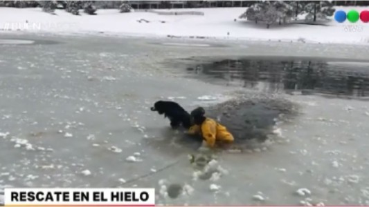 Rescataron a un perro atrapado en el hielo