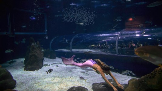 La sirena que cautiva Río de Janeiro