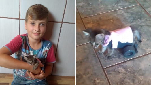 El conmovedor gesto de un nene con una gatita que no podía caminar