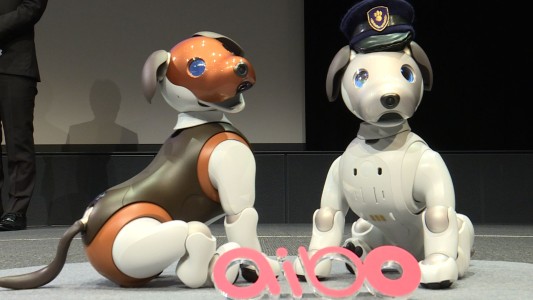 El perro robot que vigila la casa