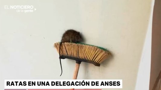 Cerraron una delegación de ANSes en Quilmes por ratas