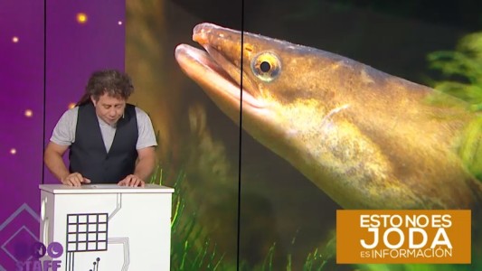 Las noticias más locas de la mano de David Rotemberg