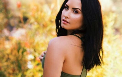 Demi Lovato celebró sus seis meses de sobriedad
