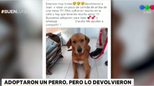 Adoptaron un perro, pero le devolvieron
