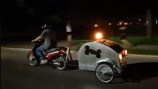 Salta: crearon la primera motoambulancia para mascotas del país