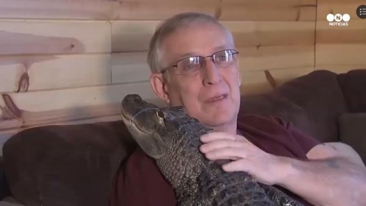 Un cocodrilo lo ayudó a superar la depresión