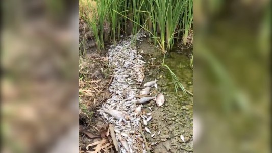 Sequía mortal en Australia