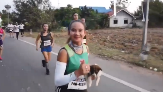 Participaba de una maratón y se encontró un cachorro perdido: corrió más de 30 kilómetros con el animal