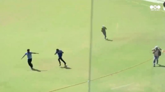 Insólito: heridos por un ataque de abejas en un partido de cricket