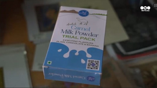 La leche de camello es furor en India