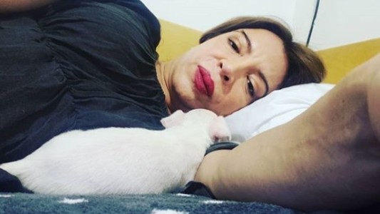 El tierno perrito que adoptó Lizy Tagliani antes del debut de "El precio justo"