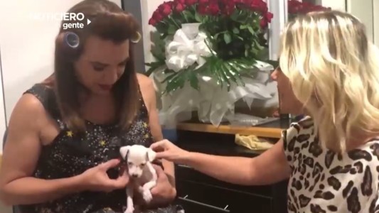 Lizy Tagliani presentó a su nueva mascota