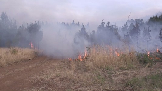 Chile: declaran estado de catástrofe por los incendios