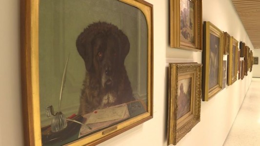 Los perros ya tienen un museo que los homenajea