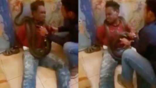 Para lograr "confesión rápida" de un ladrón, un policía le puso una serpiente en el cuello