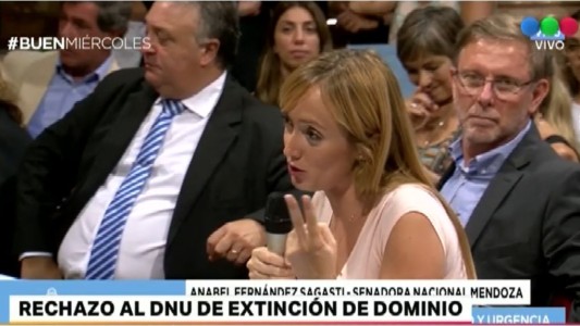 Rechazo al DNU de extinción de dominio