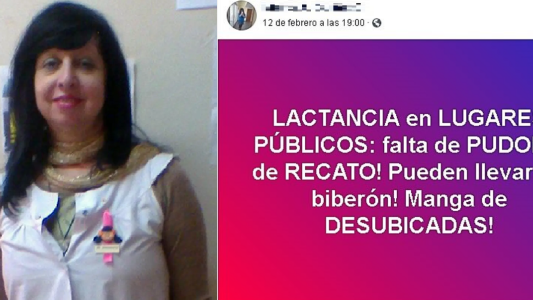 Suspendieron a una docente por tildar de "vacas lecheras" a las mujeres que amamantan en público
