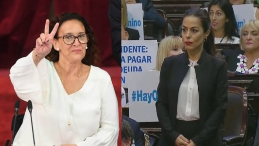 Michetti denunciará a la diputada Picetti