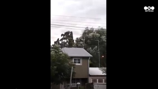 Fuerte tormenta de viento en La Plata