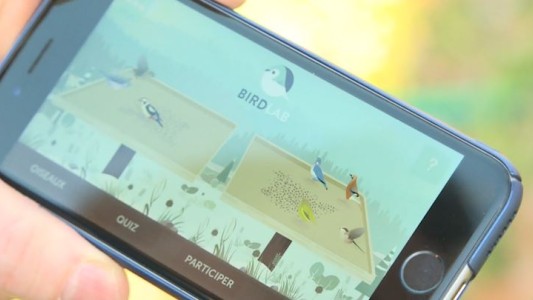 La aplicación que sirve para estudiar aves