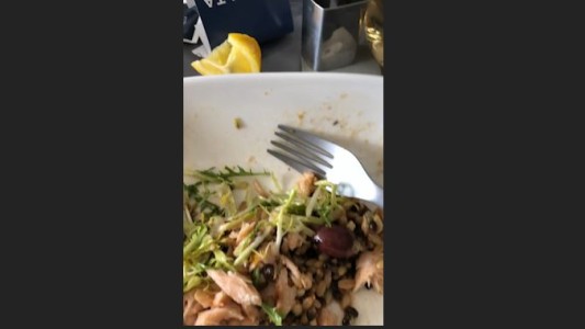 Pasajero de primera clase descubre un gusano vivo en su comida