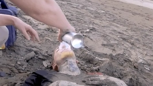 No siempre al top: Alex Caniggia se descompensó en el reality "Resistiré" y tuvo que ser asistido