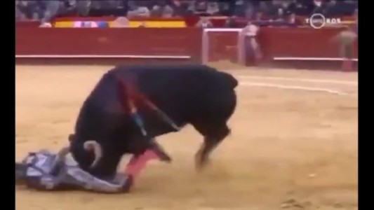 Torero gravemente herido tras una cogida en Valencia