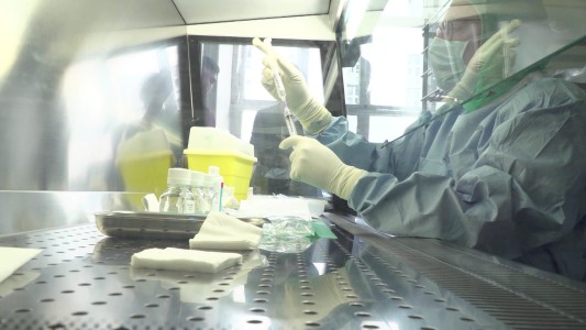 Los fagos, una posible alternativa a los antibióticos