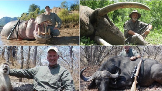 El hombre que mató al león dormido se jactó de haber cazado a unos 70 animales