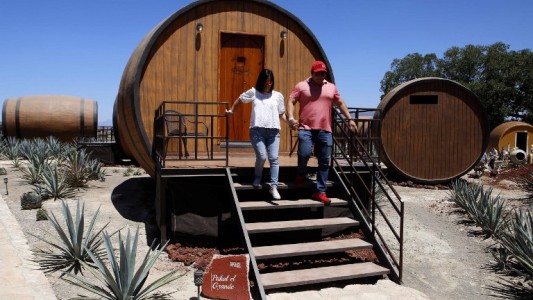 Video y fotos: el hotel para tomadores