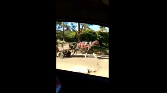 Persecución de un caballo desbocado con su carro a cuestas