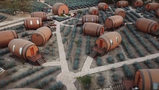 La experiencia de dormir dentro de un barril de tequila