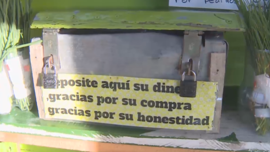 La verdulería de la honestidad necesita cámaras de seguridad