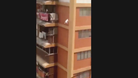 El impresionante rescate de un gato que estaba en la cornisa de un 10mo piso